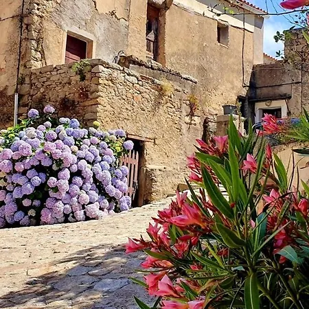 Maison D'une Avec Terrasse Amenagee A A 5 Km De La Plage Сasa de vacaciones *